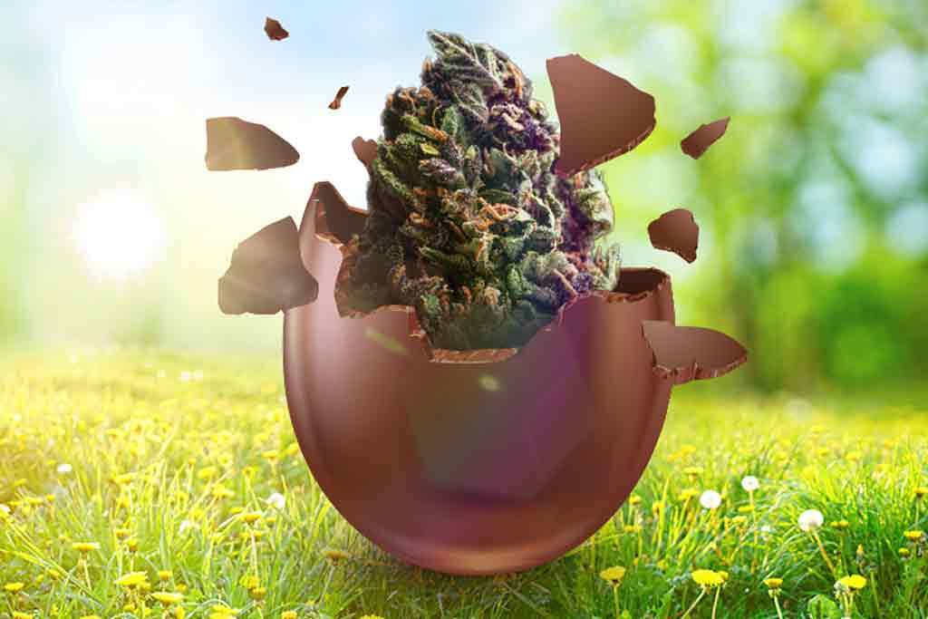 Our Simple Guide to Making Cannabis Infused Chocolate Treats to Gift You’re Stoner Buddies This Easter.