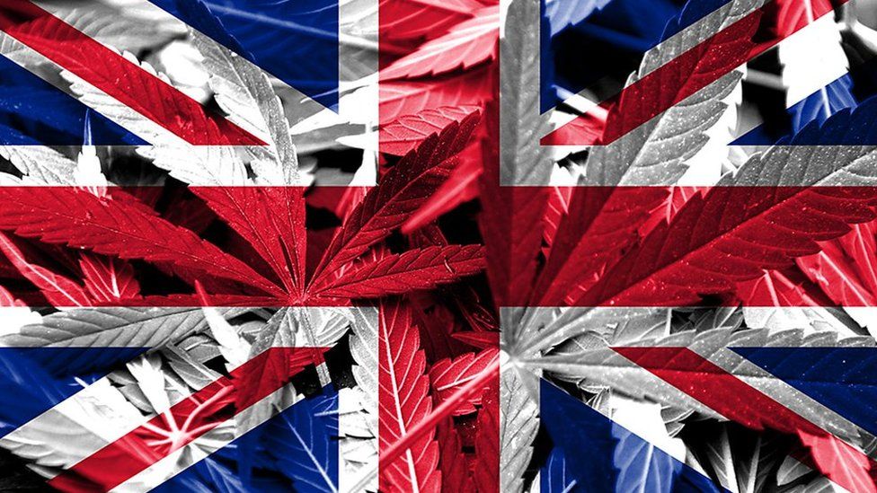 The UK Could be The Next Country to Completely Legalise Cannabis!